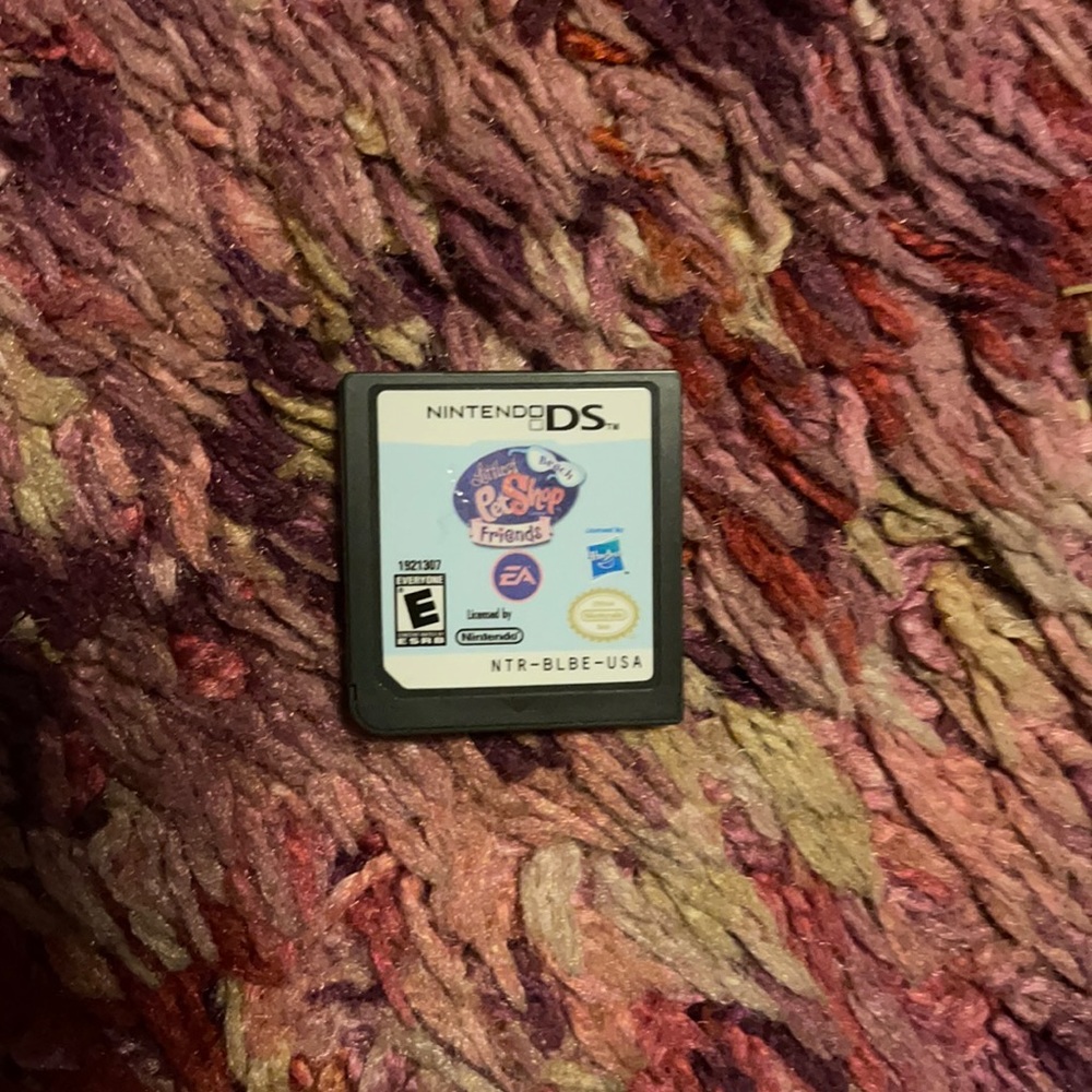 Dsi game
